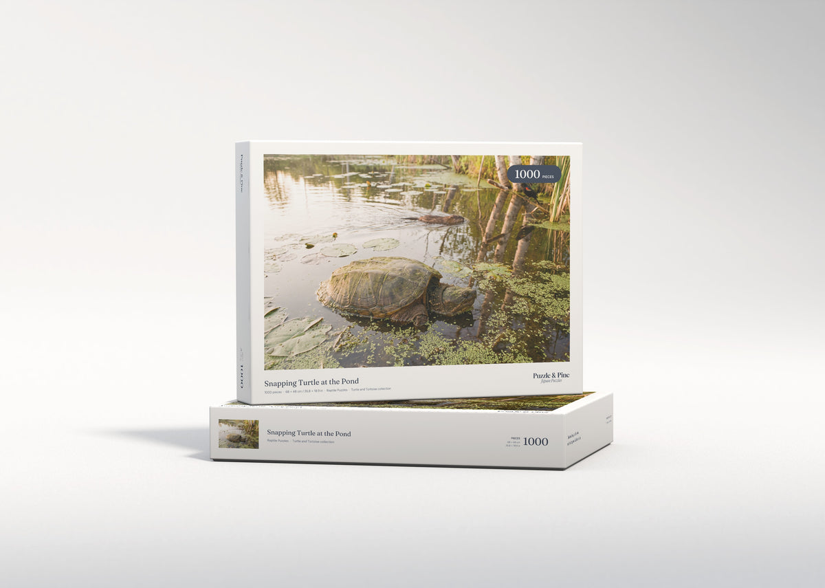 Snapping Turtle at the Pond jigsaw puzzle - gift box