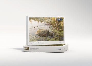Snapping Turtle at the Pond jigsaw puzzle - gift box