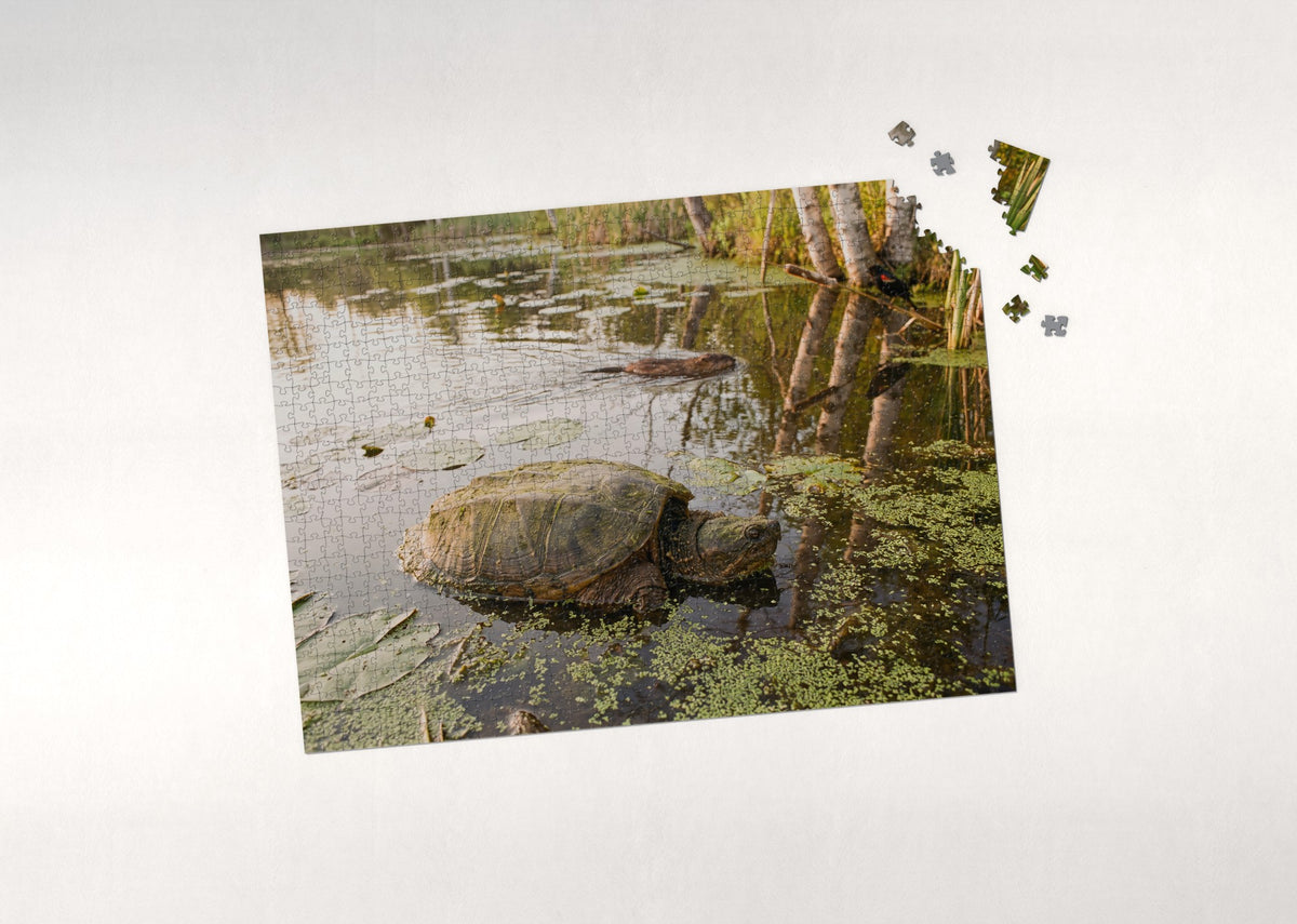 Snapping Turtle at the Pond jigsaw puzzle - puzzle with loose pieces