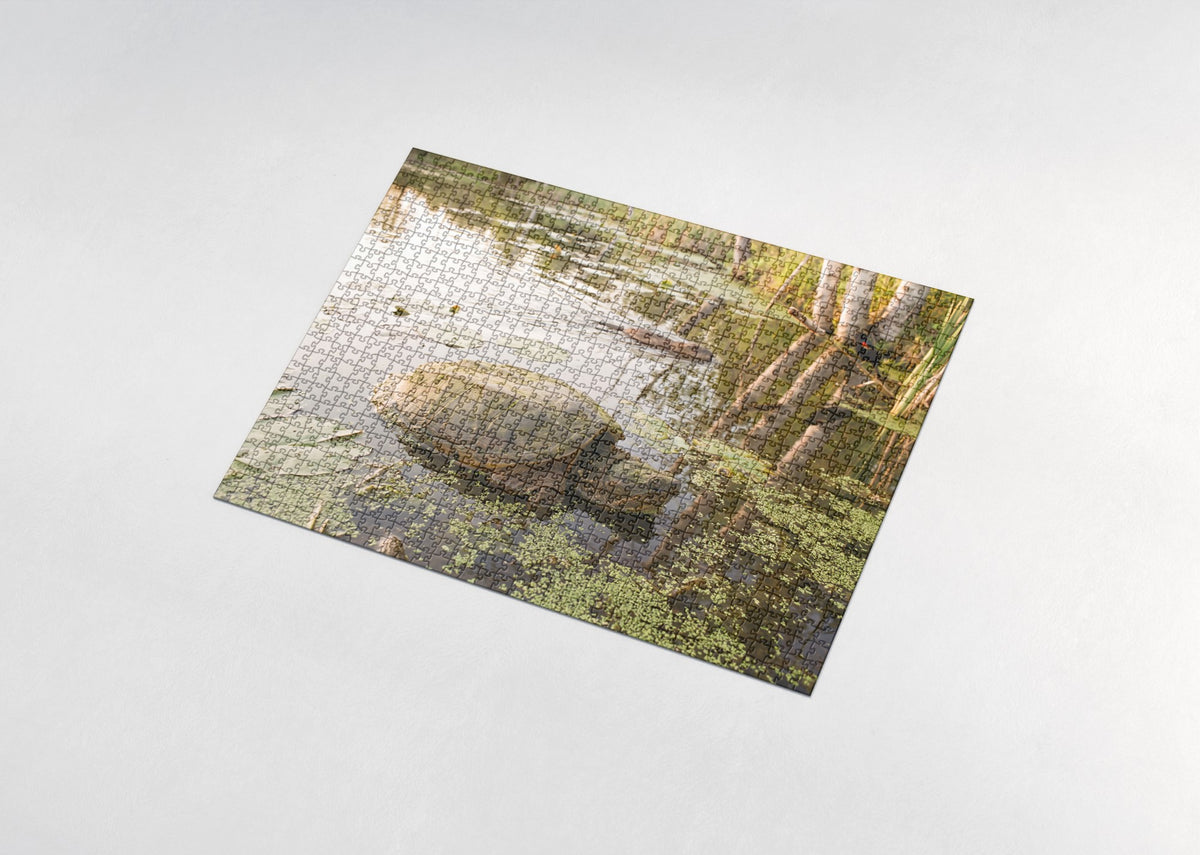 Snapping Turtle at the Pond jigsaw puzzle - assembled puzzle