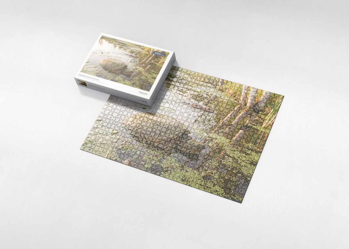 Snapping Turtle at the Pond jigsaw puzzle - box and puzzle