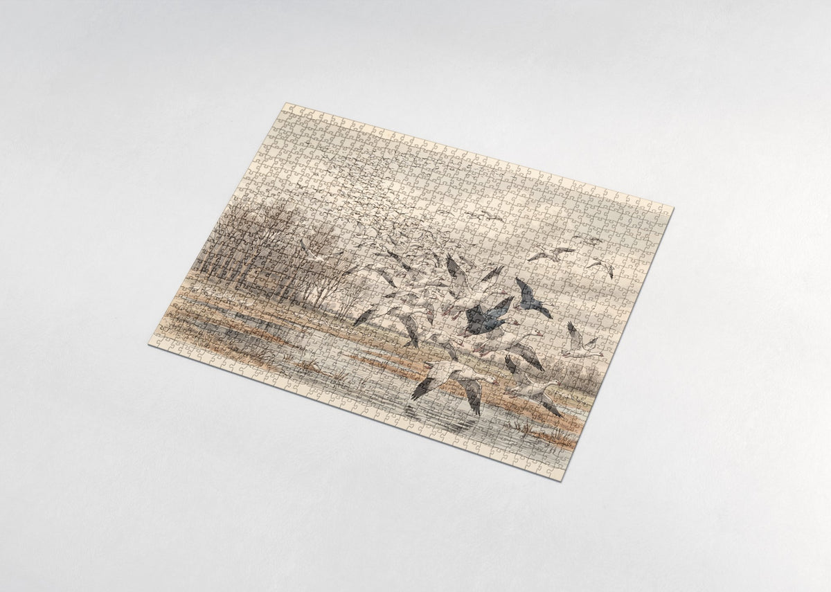 Snow Geese Taking Flight at the Refuge jigsaw puzzle - assembled puzzle