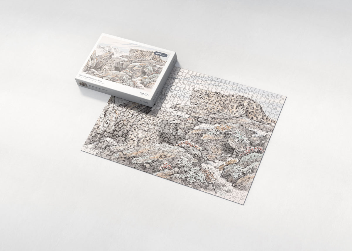 Snow Leopard Cub in the Rocks jigsaw puzzle - box and puzzle
