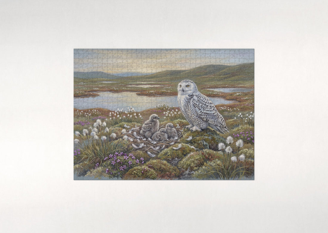 Snowy Owl and Chicks at the Nest jigsaw puzzle - gift box