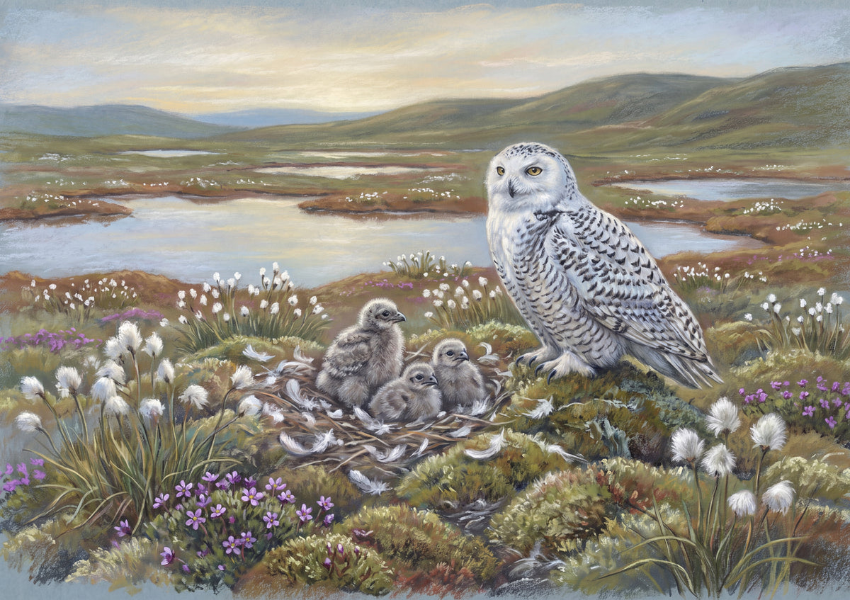 Snowy Owl and Chicks at the Nest jigsaw puzzle