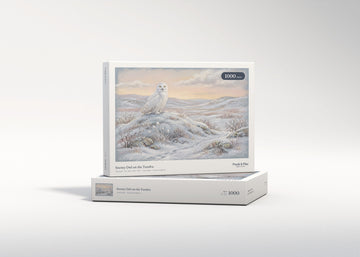 Snowy Owl on the Tundra jigsaw puzzle - gift box