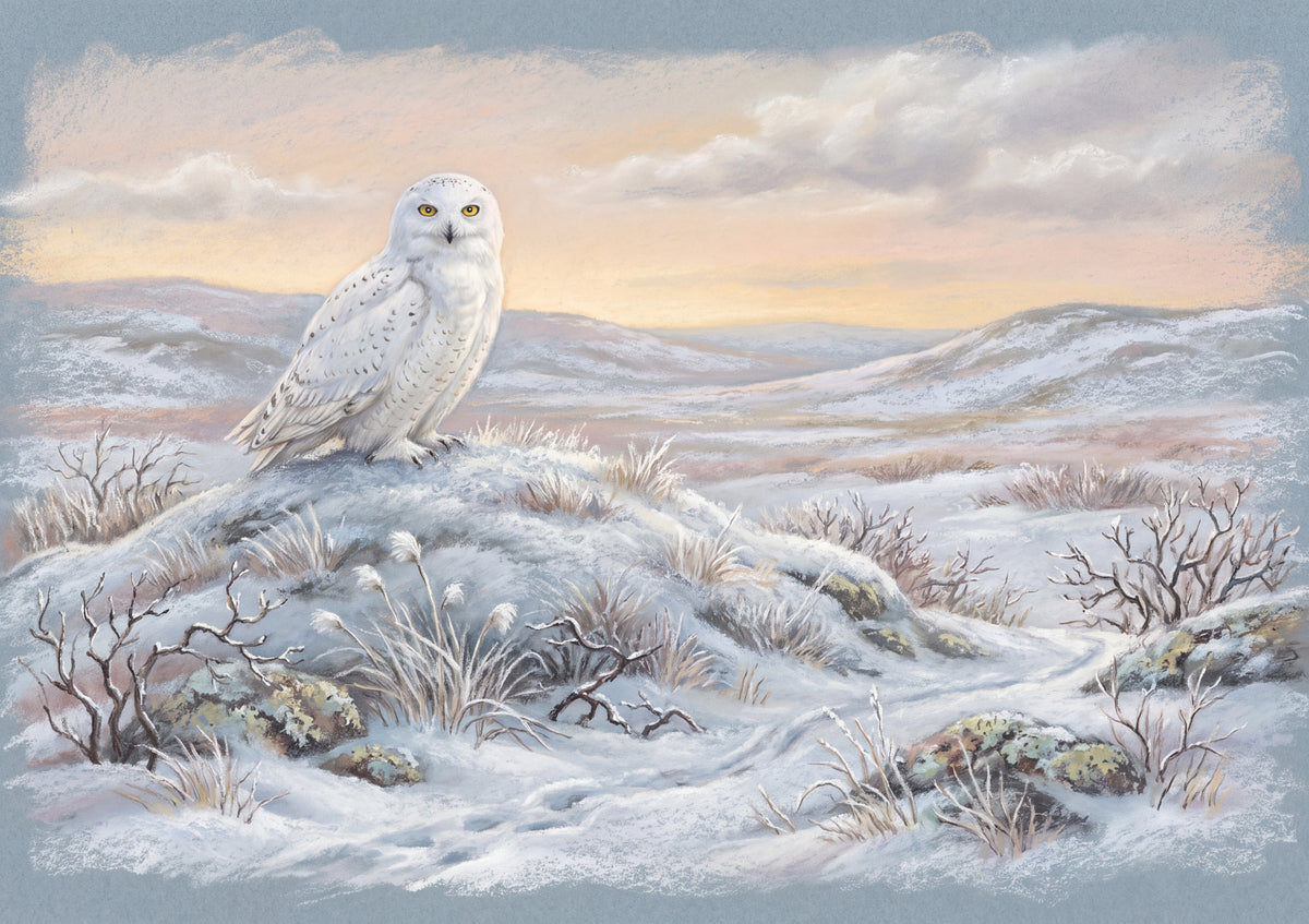 Snowy Owl on the Tundra jigsaw puzzle