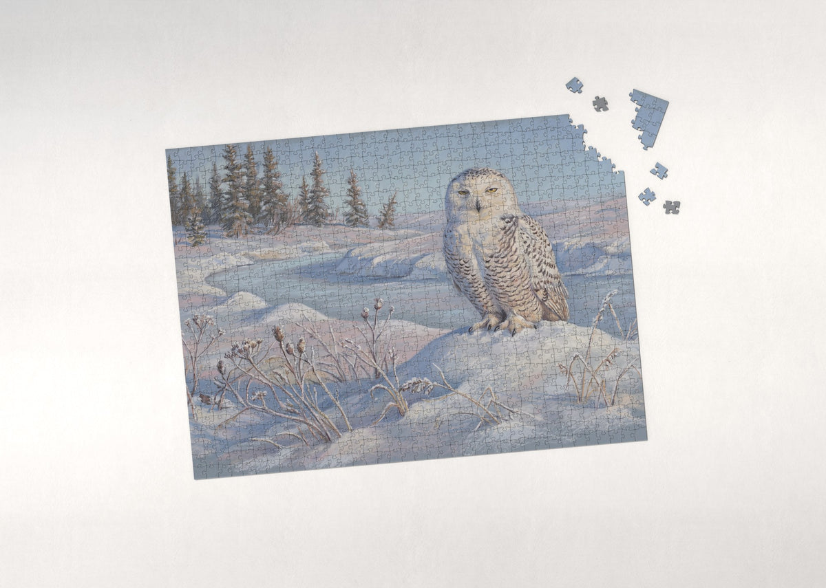 Snowy Owl Perched on the Snowbank jigsaw puzzle - puzzle with loose pieces
