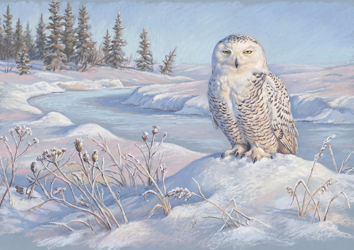 Snowy Owl Perched on the Snowbank jigsaw puzzle
