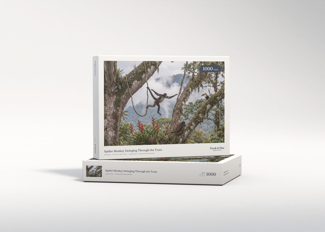 Spider Monkey Swinging Through the Trees jigsaw puzzle - gift box