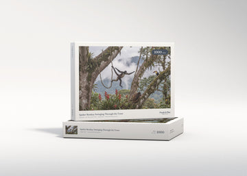 Spider Monkey Swinging Through the Trees jigsaw puzzle - gift box