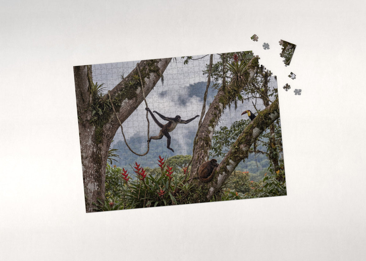 Spider Monkey Swinging Through the Trees jigsaw puzzle - puzzle with loose pieces