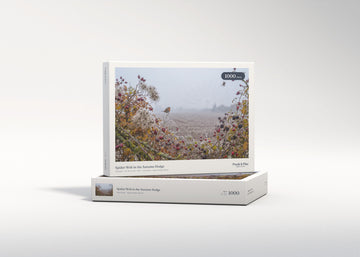 Spider Web in the Autumn Hedge jigsaw puzzle - gift box