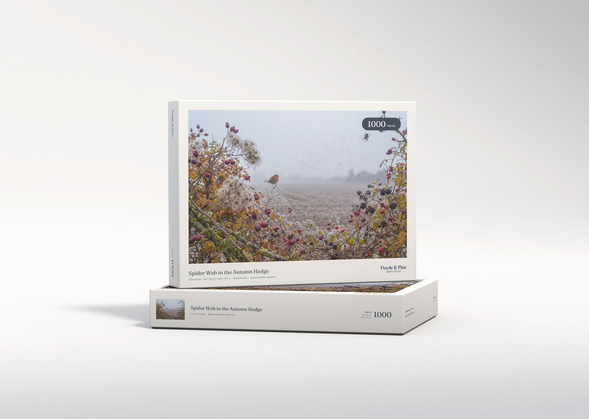 Spider Web in the Autumn Hedge jigsaw puzzle - gift box