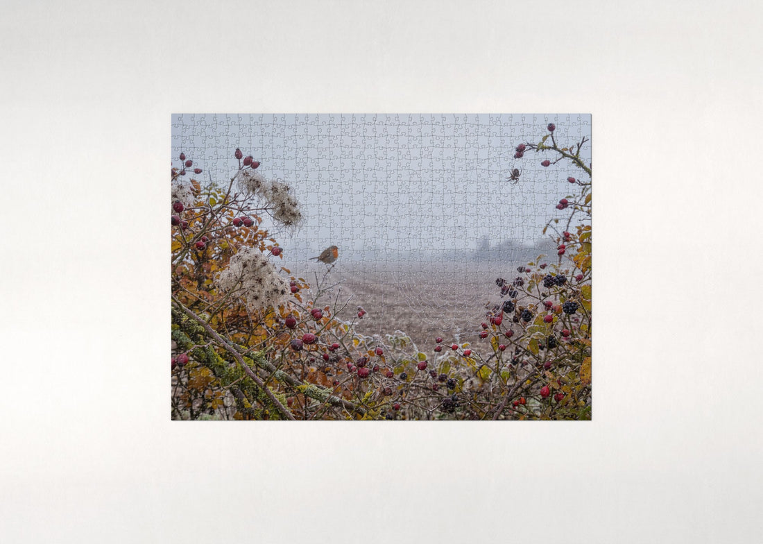 Spider Web in the Autumn Hedge jigsaw puzzle - gift box