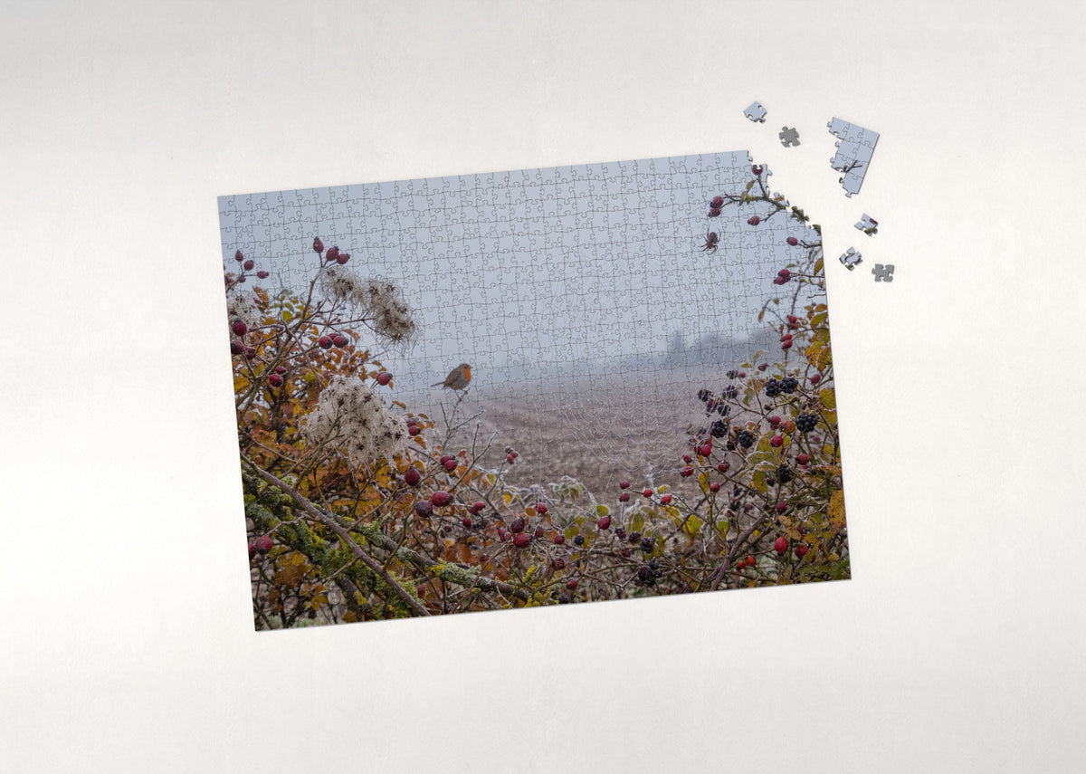 Spider Web in the Autumn Hedge jigsaw puzzle - puzzle with loose pieces