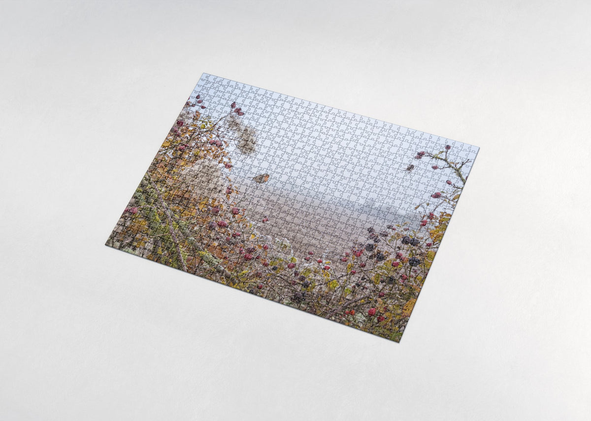 Spider Web in the Autumn Hedge jigsaw puzzle - assembled puzzle