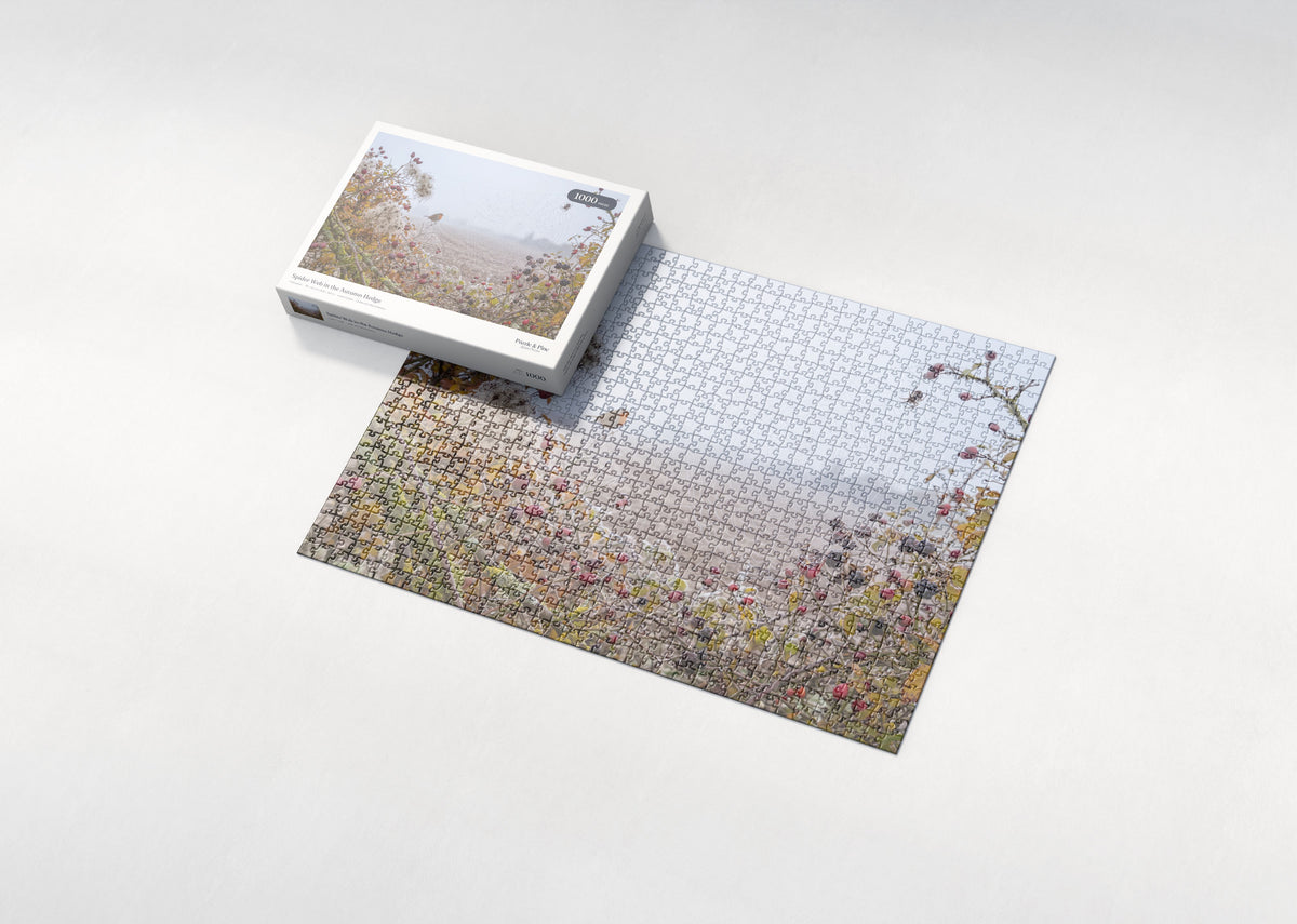 Spider Web in the Autumn Hedge jigsaw puzzle - box and puzzle