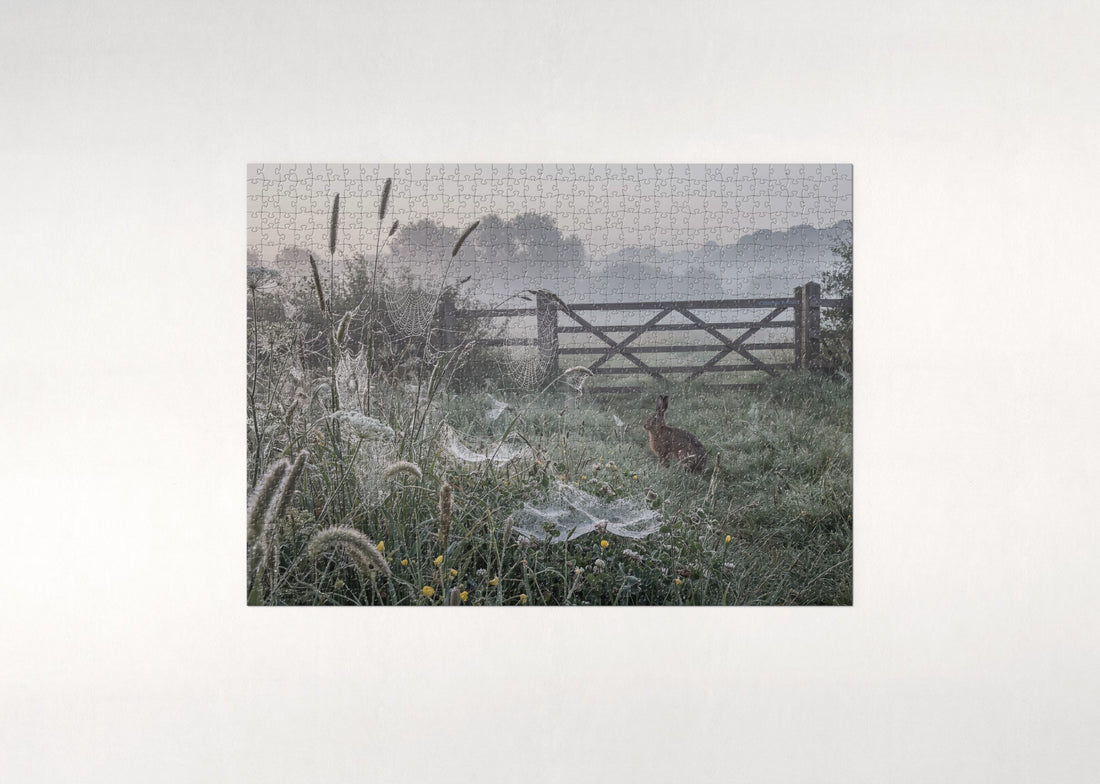 Spider Webs in the Misty Morning Meadow jigsaw puzzle - gift box