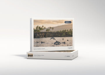 Spinner Dolphins at Dawn jigsaw puzzle - gift box