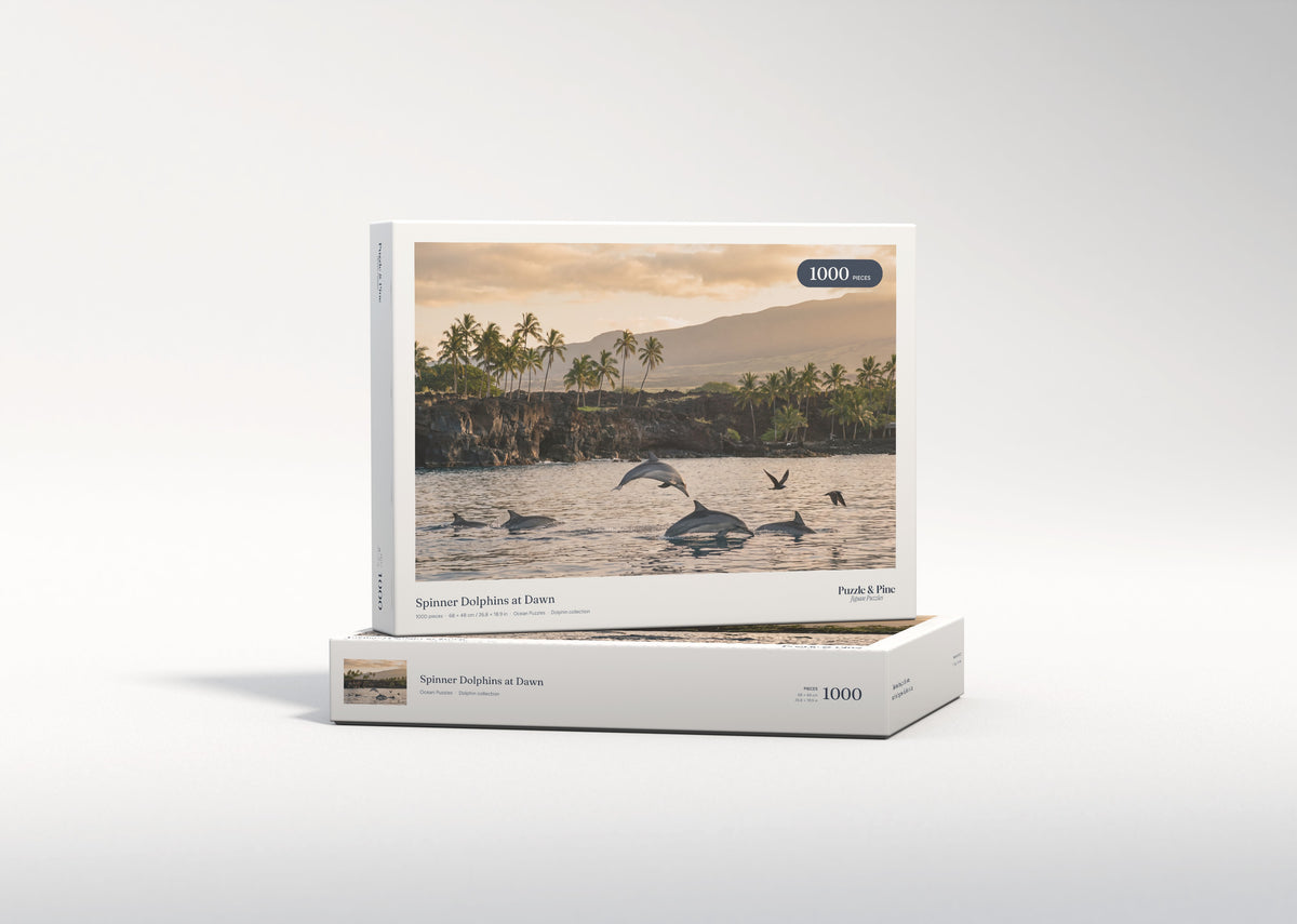 Spinner Dolphins at Dawn jigsaw puzzle - gift box