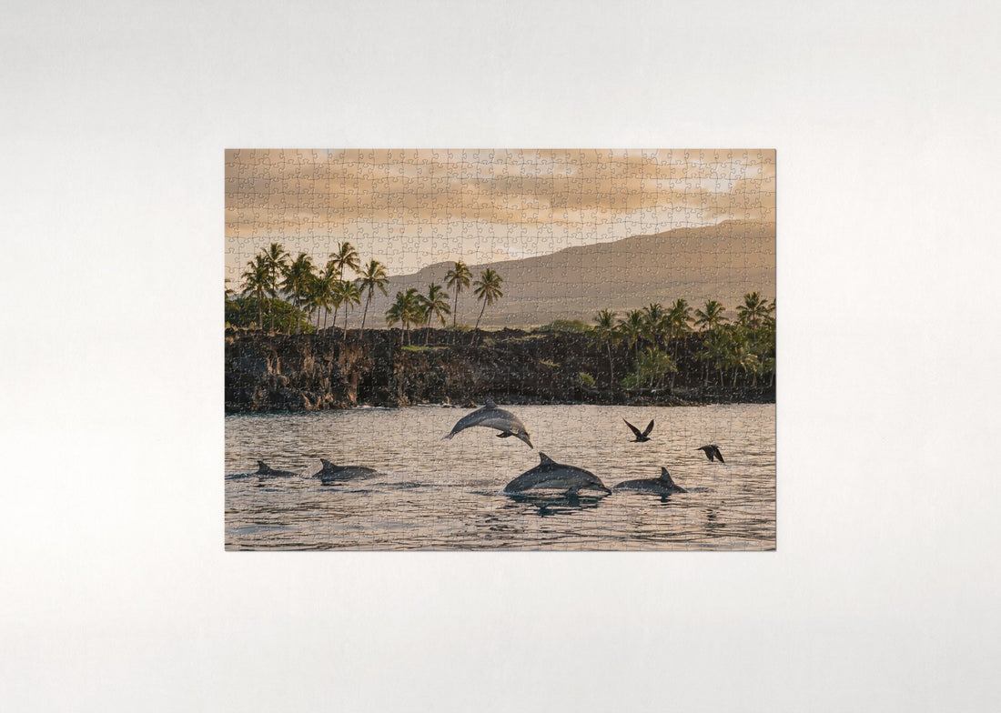 Spinner Dolphins at Dawn jigsaw puzzle - gift box