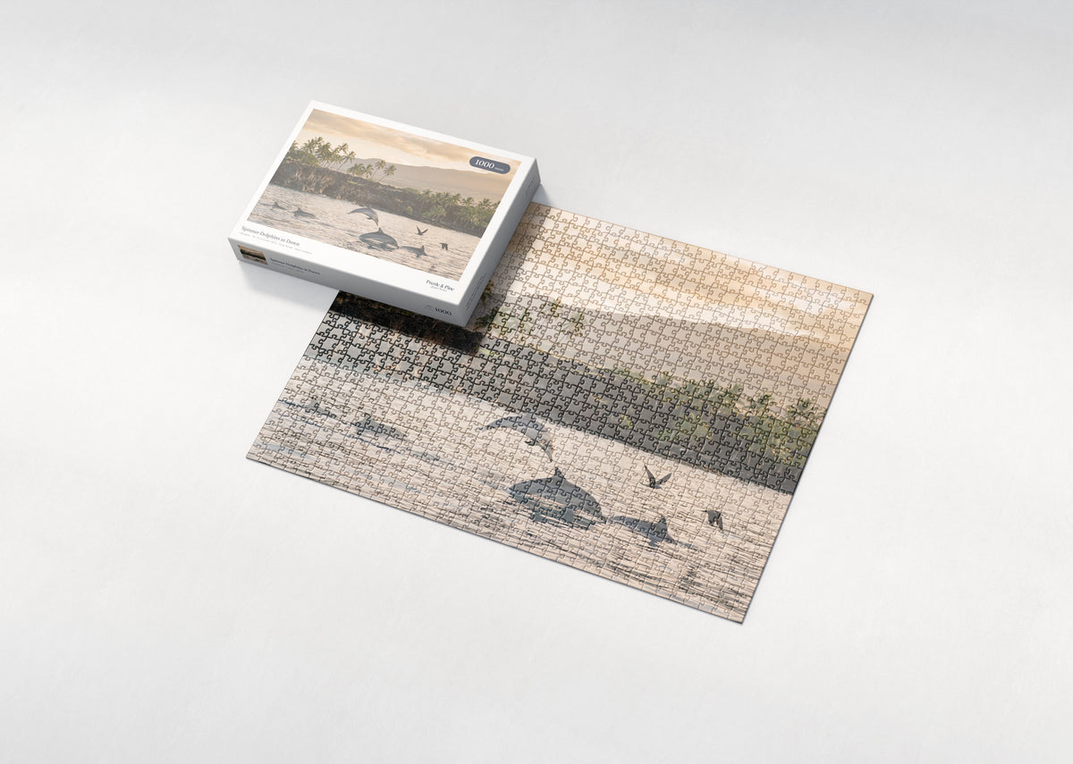 Spinner Dolphins at Dawn jigsaw puzzle - box and puzzle