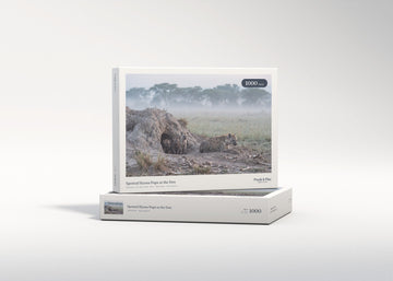 Spotted Hyena Pups at the Den jigsaw puzzle - gift box