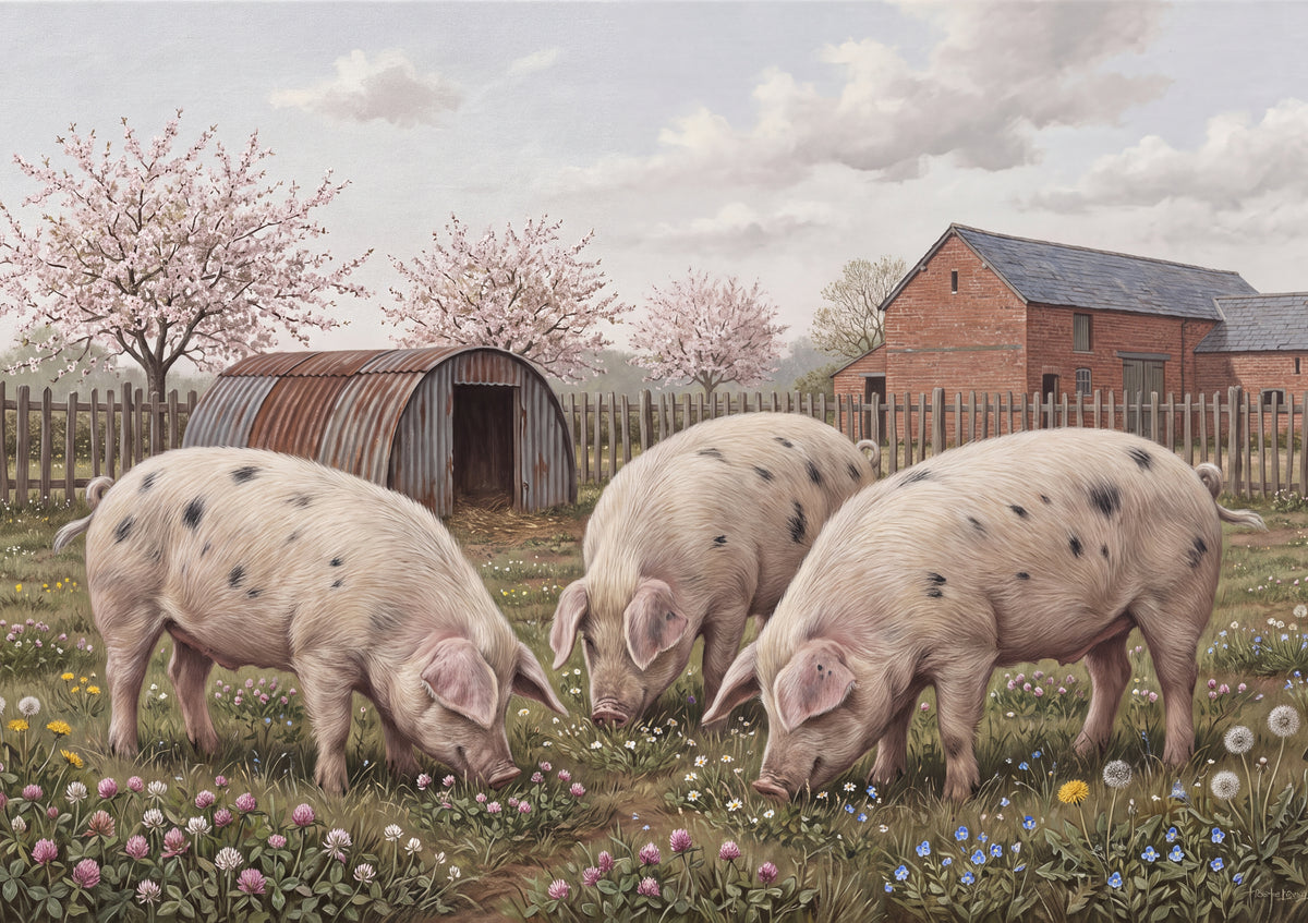 Spotted Pigs in the Clover jigsaw puzzle