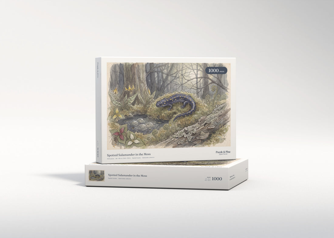 Spotted Salamander in the Moss jigsaw puzzle - gift box