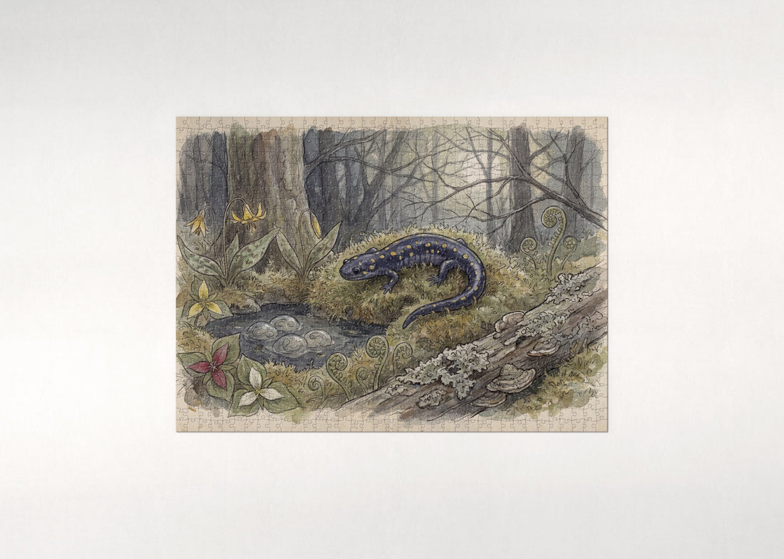Spotted Salamander in the Moss jigsaw puzzle - gift box