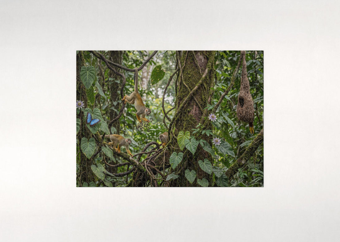 Squirrel Monkeys Among the Vines jigsaw puzzle - gift box