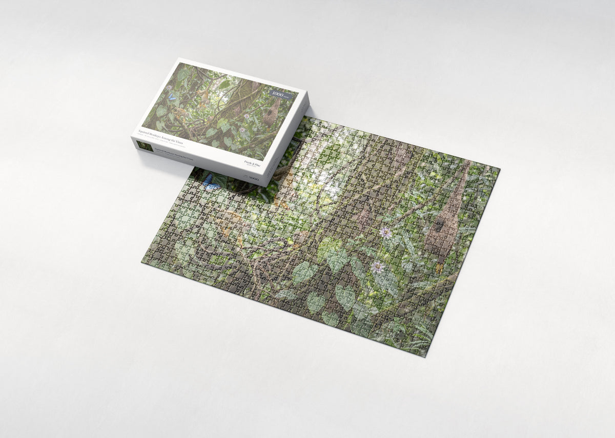 Squirrel Monkeys Among the Vines jigsaw puzzle - box and puzzle