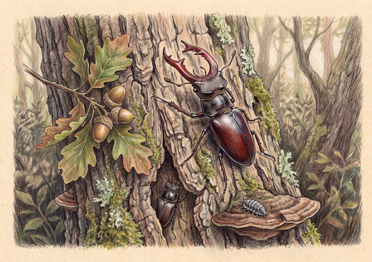 Stag Beetle on the Oak Bark jigsaw puzzle