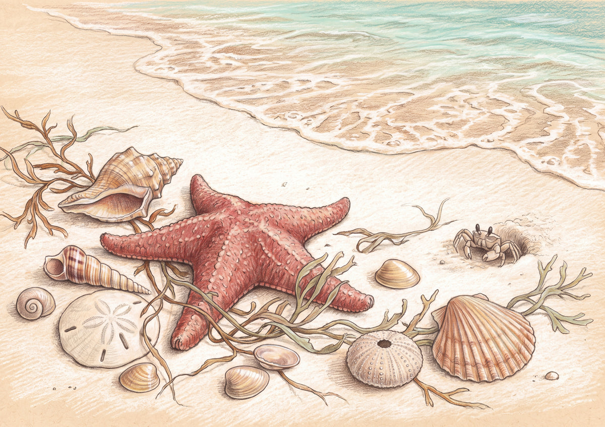 Starfish and Seashells on the Sand jigsaw puzzle