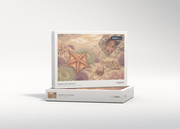 Starfish in the Tide Pool jigsaw puzzle - gift box