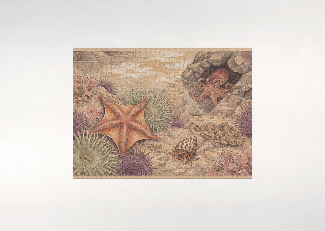 Starfish in the Tide Pool jigsaw puzzle - gift box