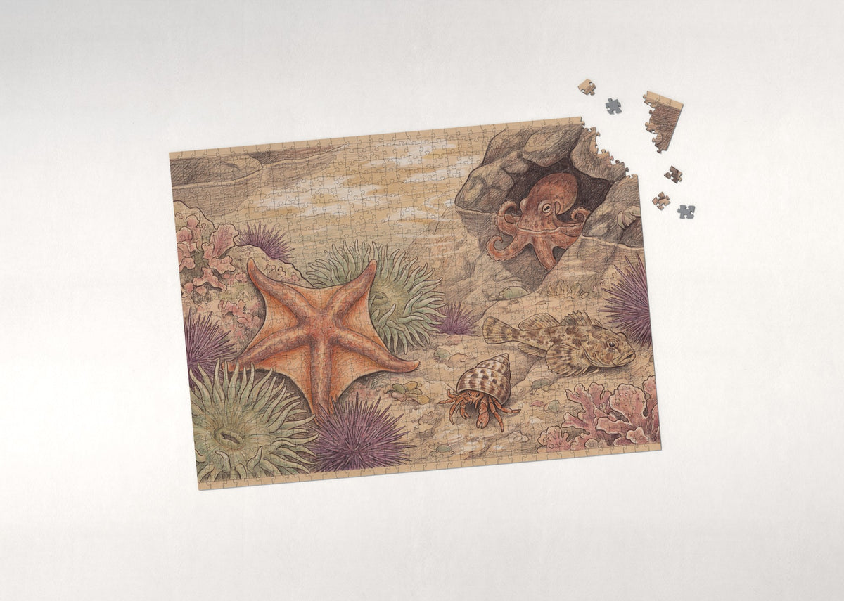 Starfish in the Tide Pool jigsaw puzzle - puzzle with loose pieces