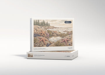 Starfish on the Rocky Shore jigsaw puzzle - gift box