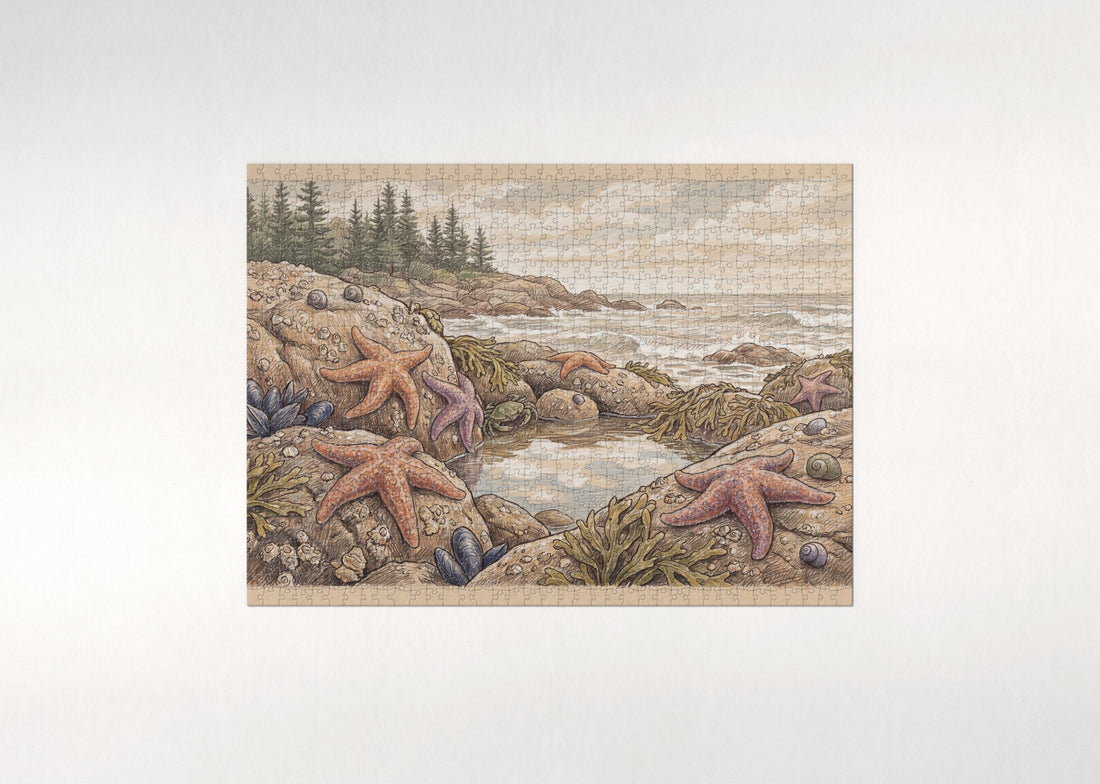 Starfish on the Rocky Shore jigsaw puzzle - gift box