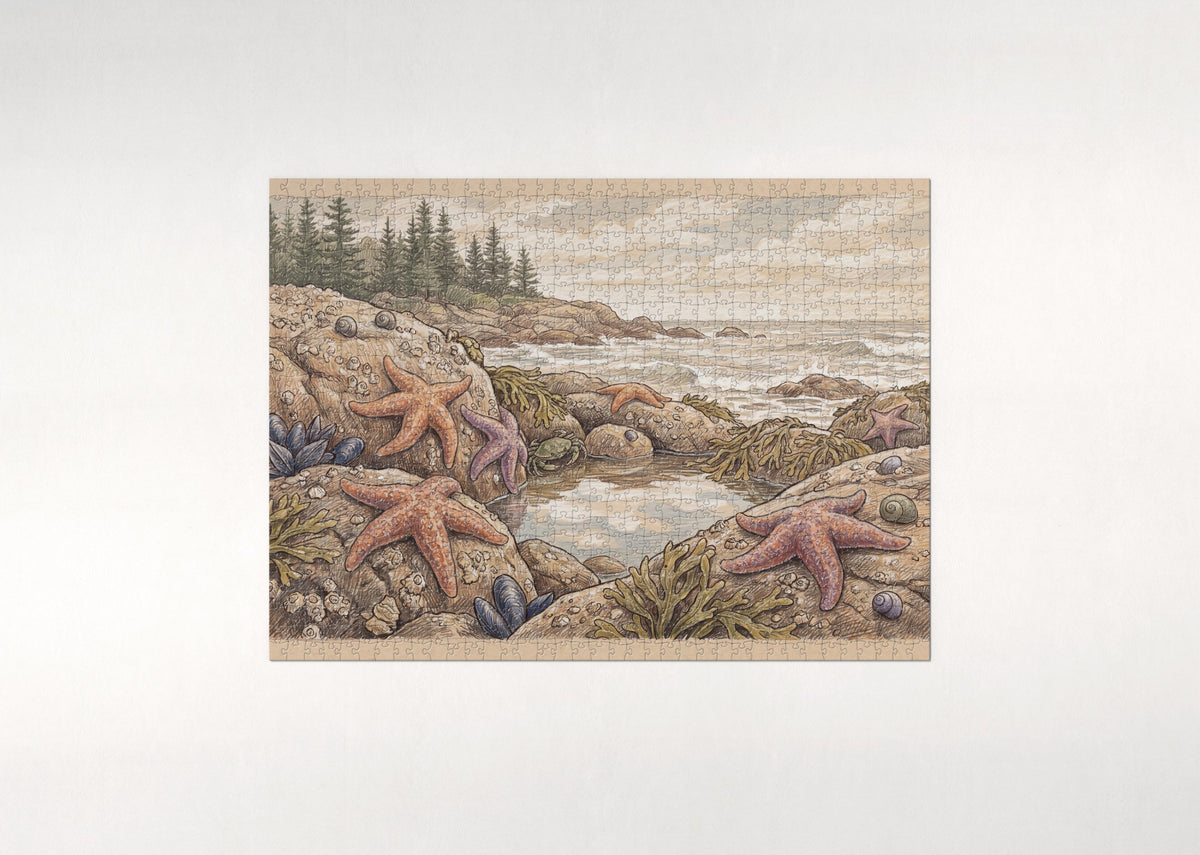 Starfish on the Rocky Shore jigsaw puzzle - flat puzzle