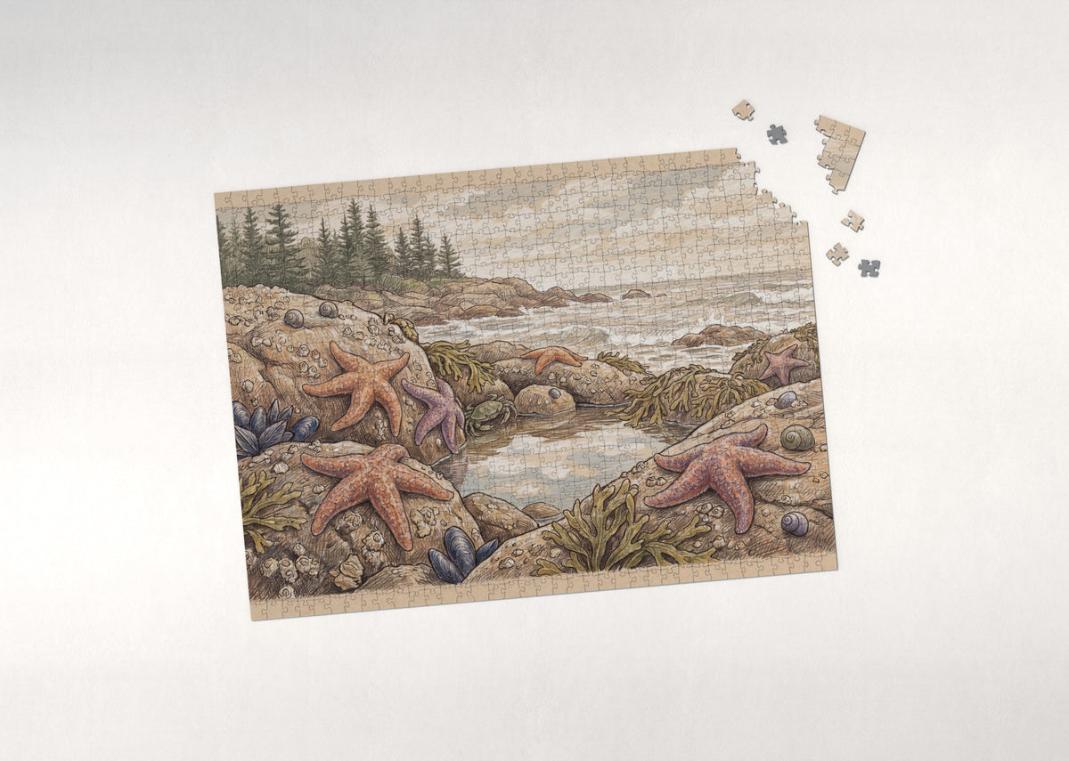 Starfish on the Rocky Shore jigsaw puzzle - puzzle with loose pieces