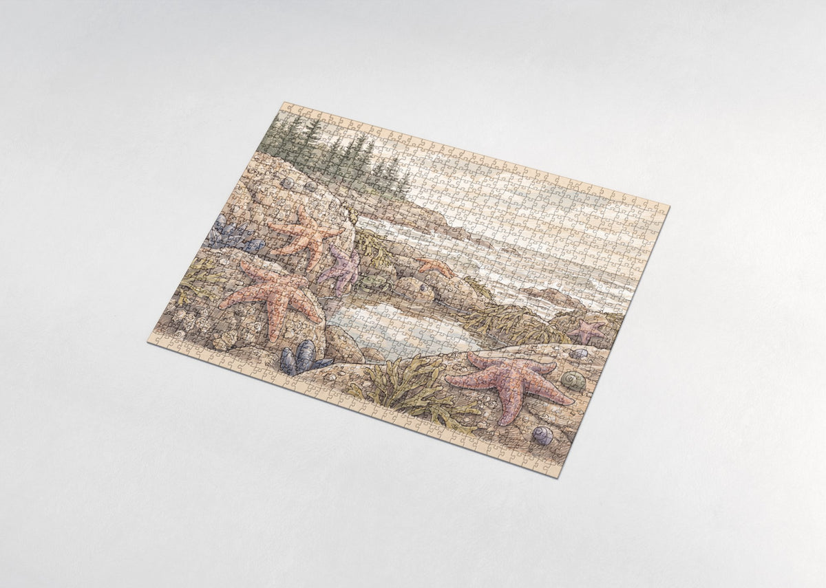 Starfish on the Rocky Shore jigsaw puzzle - assembled puzzle