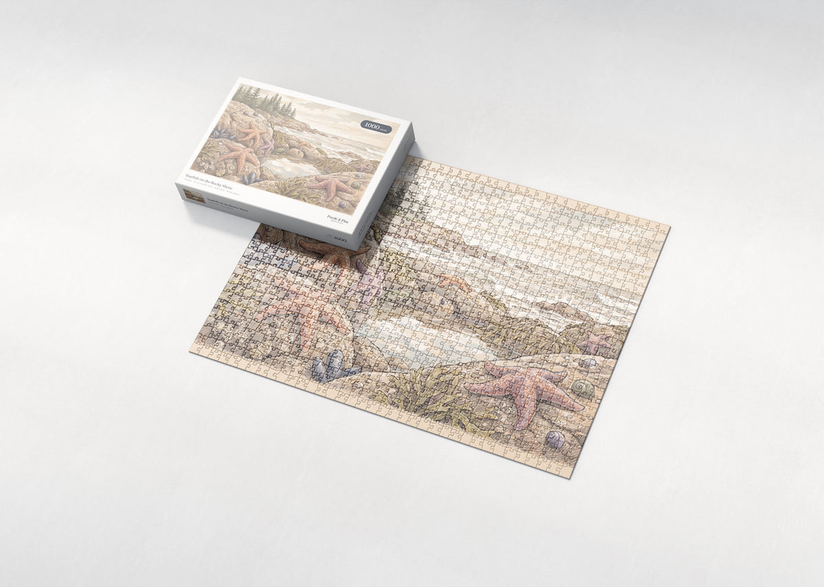Starfish on the Rocky Shore jigsaw puzzle - box and puzzle