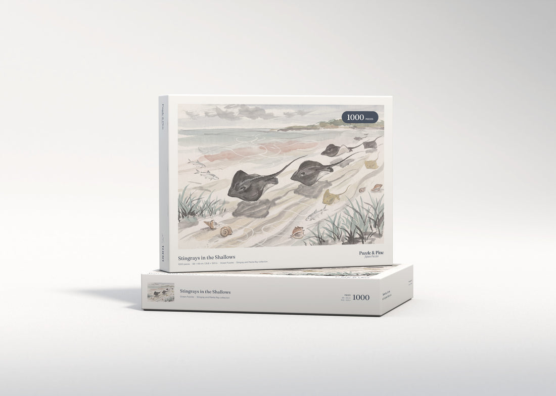 Stingrays in the Shallows jigsaw puzzle - gift box