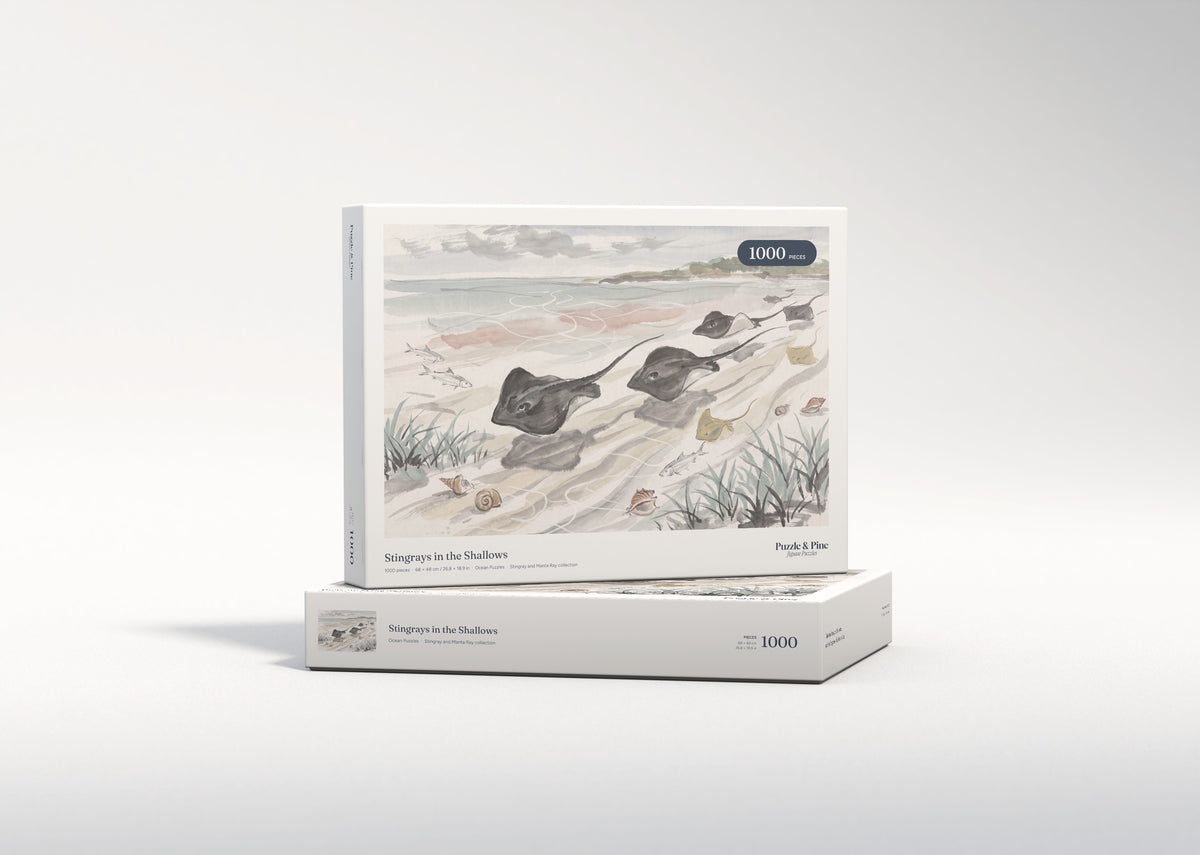 Stingrays in the Shallows jigsaw puzzle - gift box
