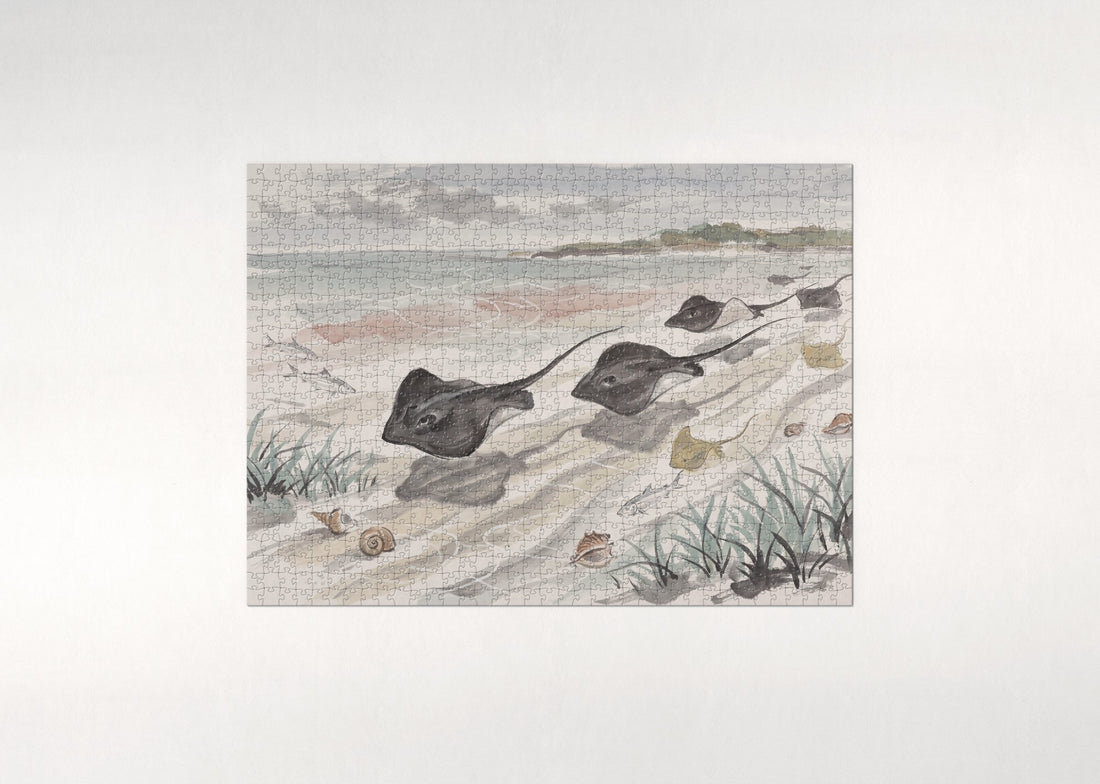 Stingrays in the Shallows jigsaw puzzle - gift box