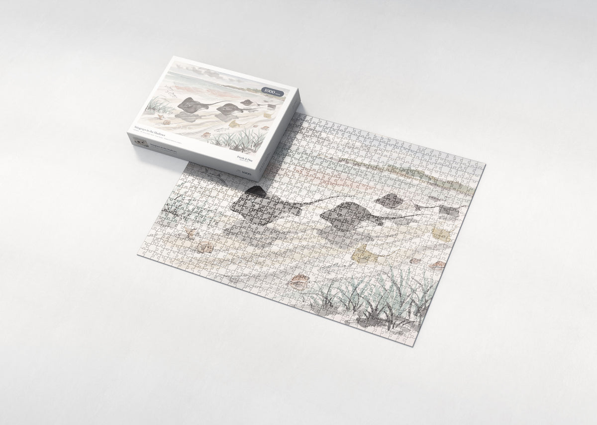 Stingrays in the Shallows jigsaw puzzle - box and puzzle