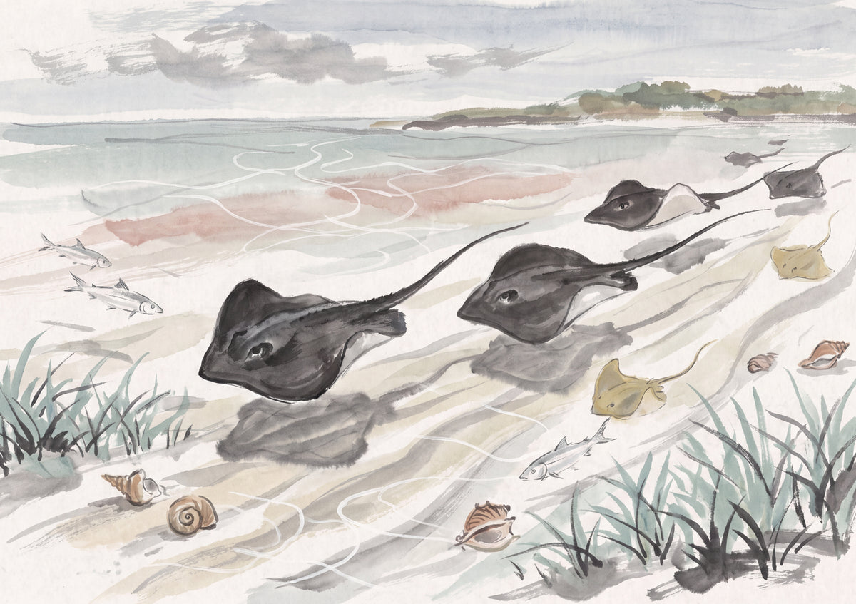 Stingrays in the Shallows jigsaw puzzle