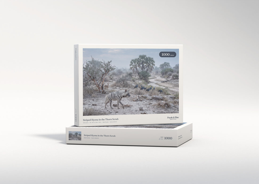 Striped Hyena in the Thorn Scrub jigsaw puzzle - gift box